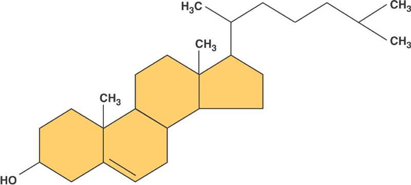 cholesterol