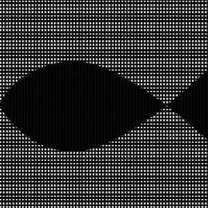 polarized polarized