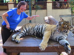 Tiger Kingdom