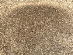 (Western Harvester Ant) nest (Western Harvester Ant) nest