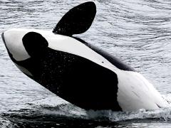 Alaska nature photos 2025