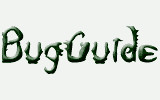 (bglogo)