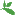 GBIF GBIF