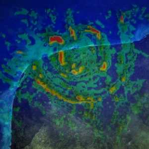 Chicxulub Chicxulub
