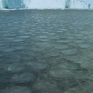 pancake ice pancake ice